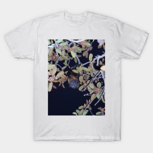 Grey-headed Flying Fox T-Shirt